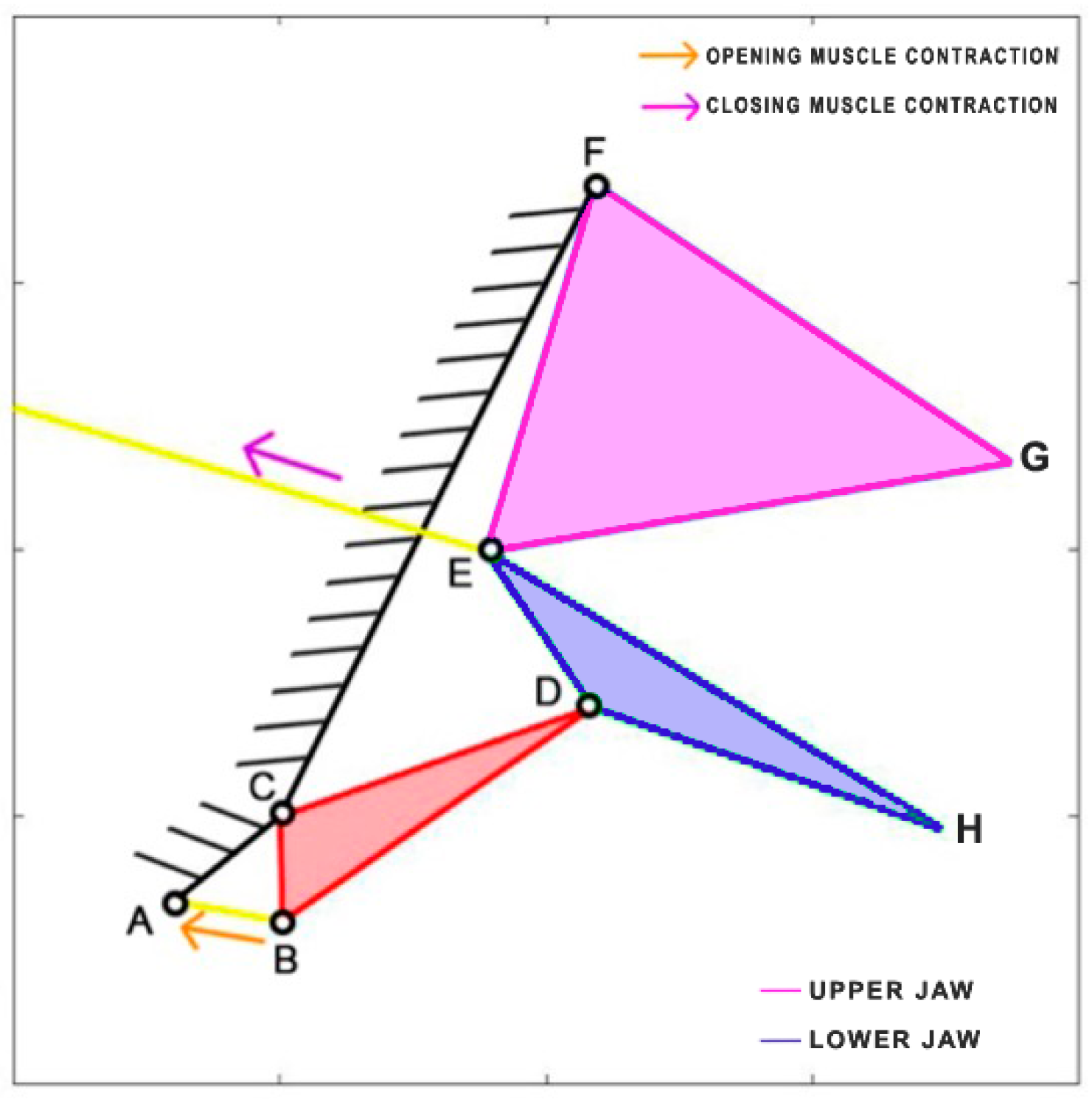 Biomimetics 09 00239 g011