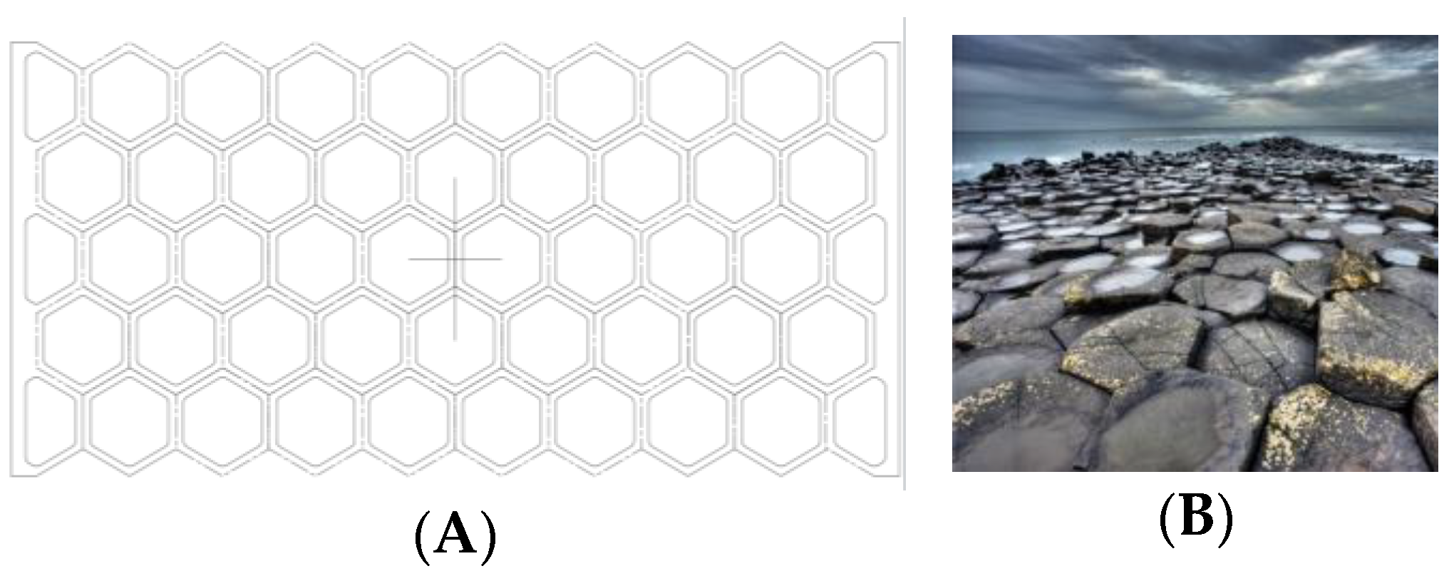 Biomimetics 09 00240 g002