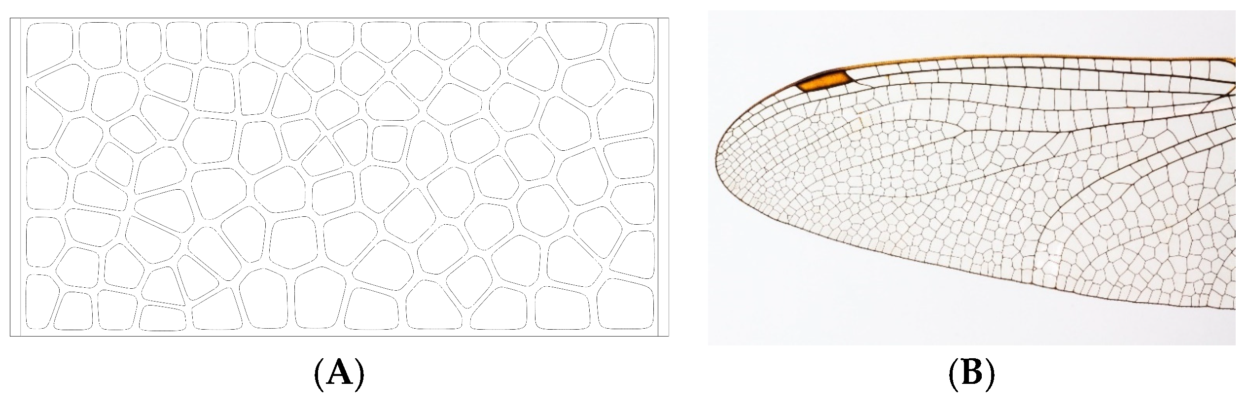 Biomimetics 09 00240 g005