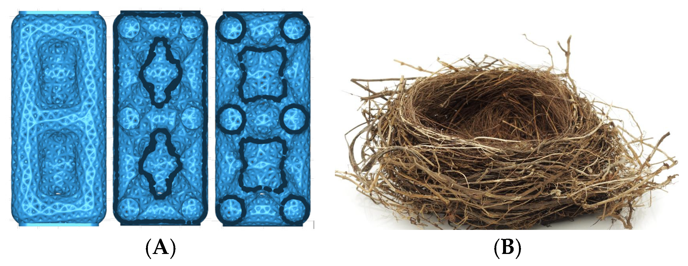 Biomimetics 09 00240 g008