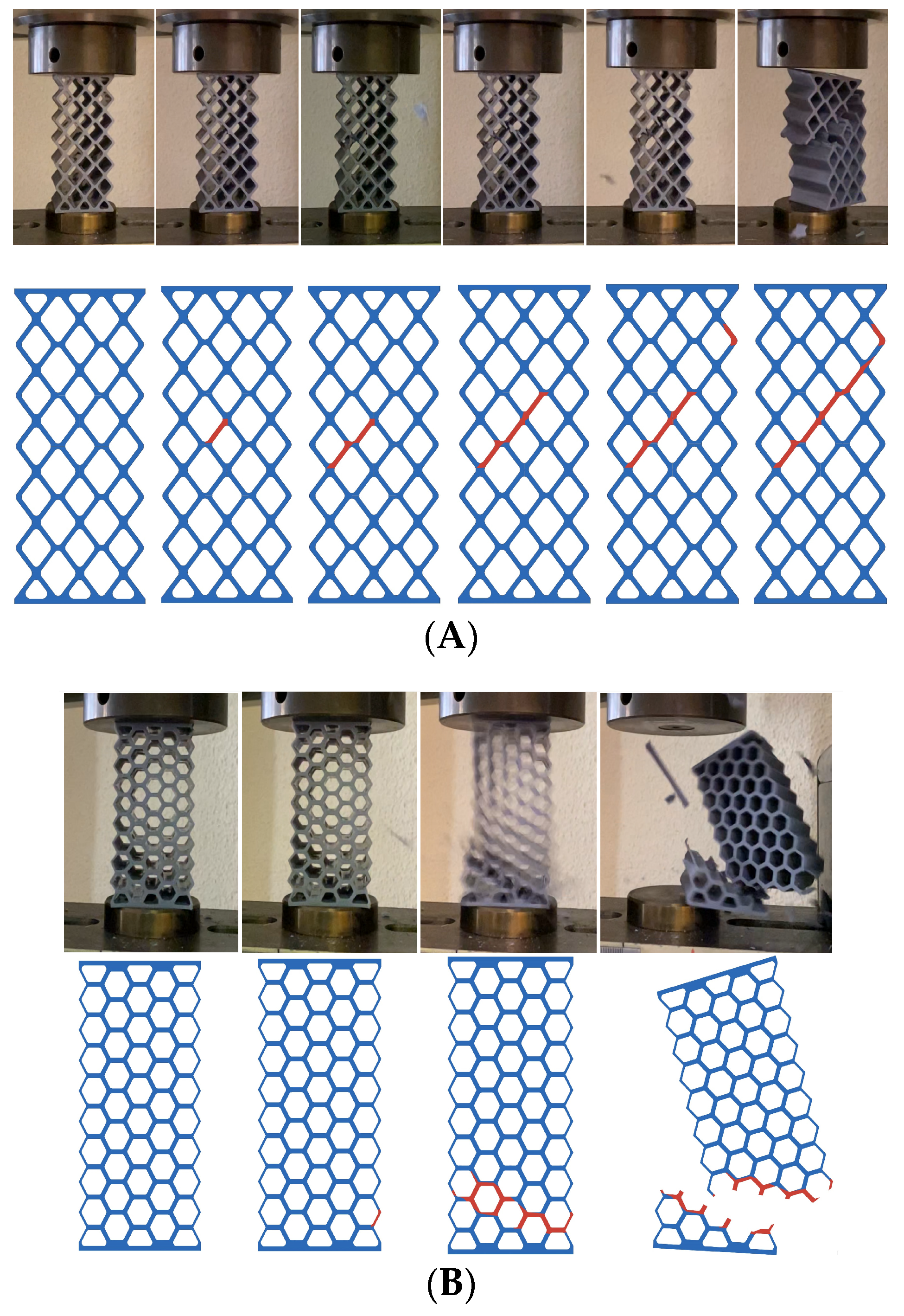Biomimetics 09 00240 g015