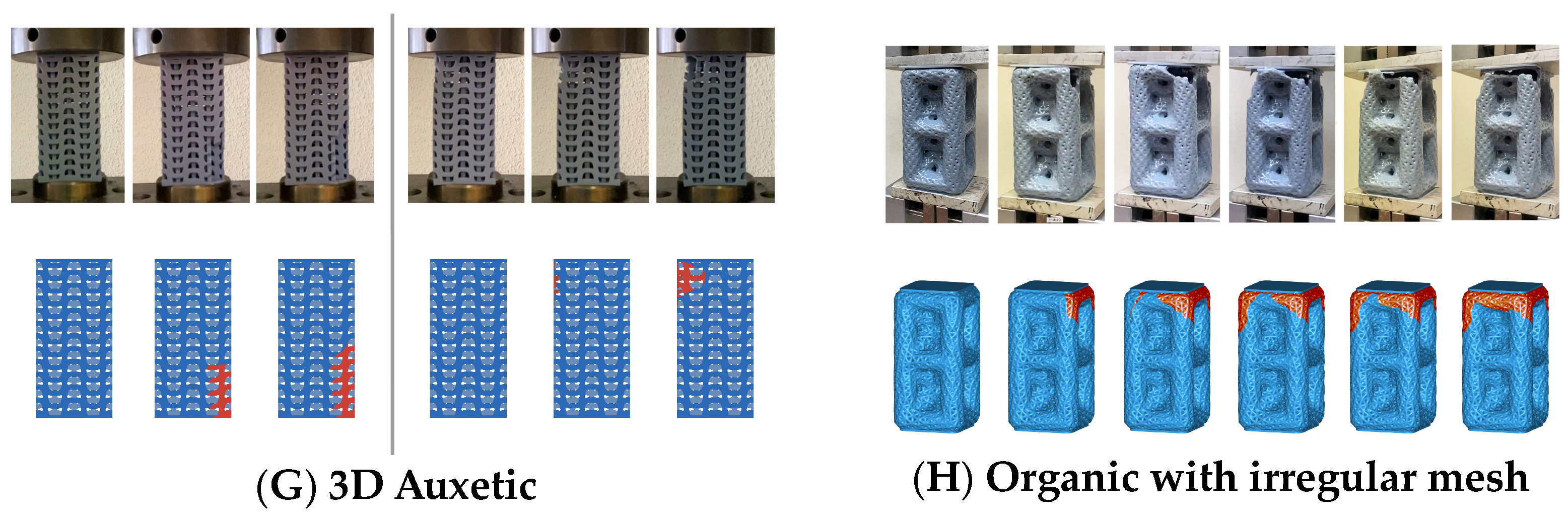 Biomimetics 09 00240 g017
