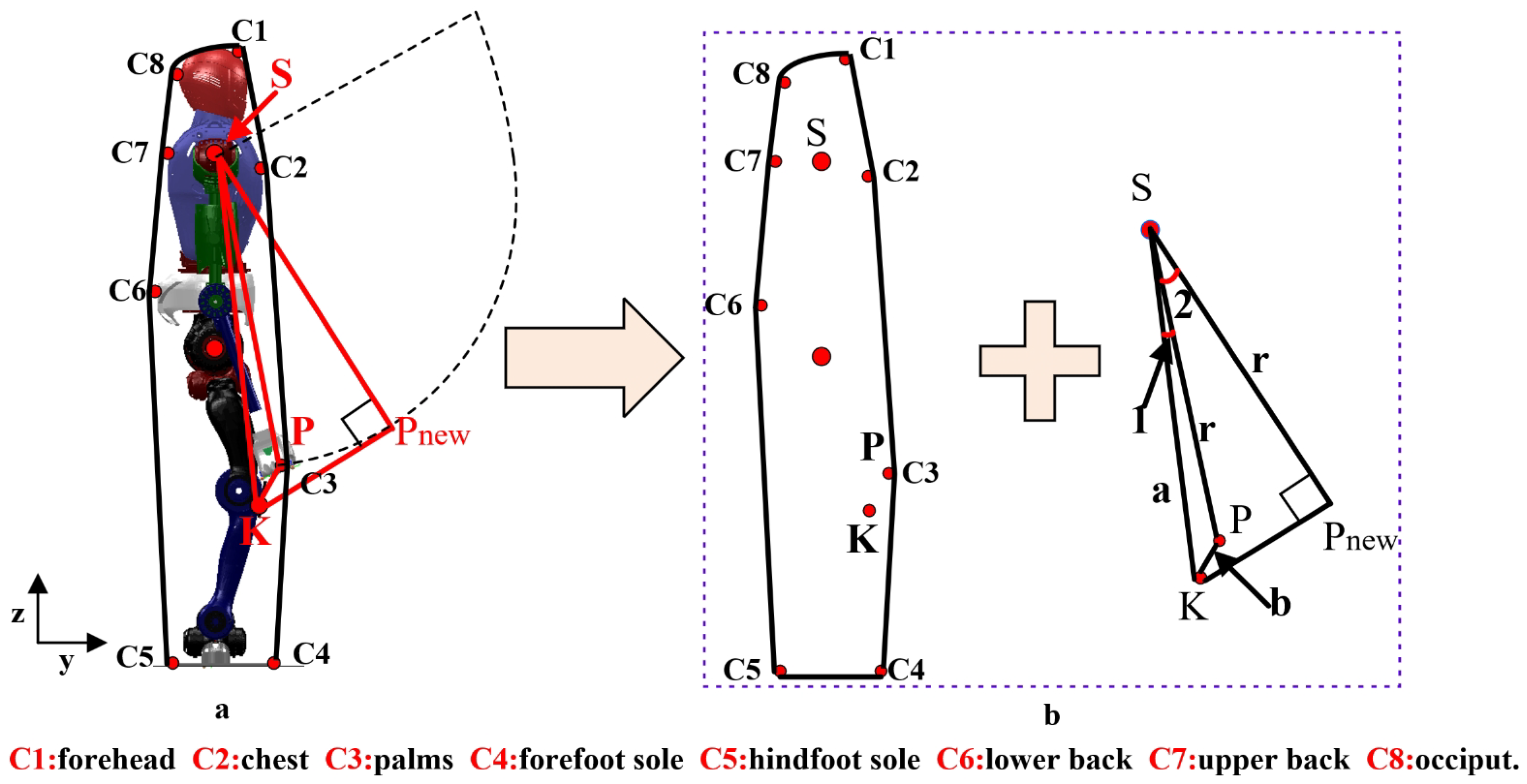 Biomimetics 09 00245 g006