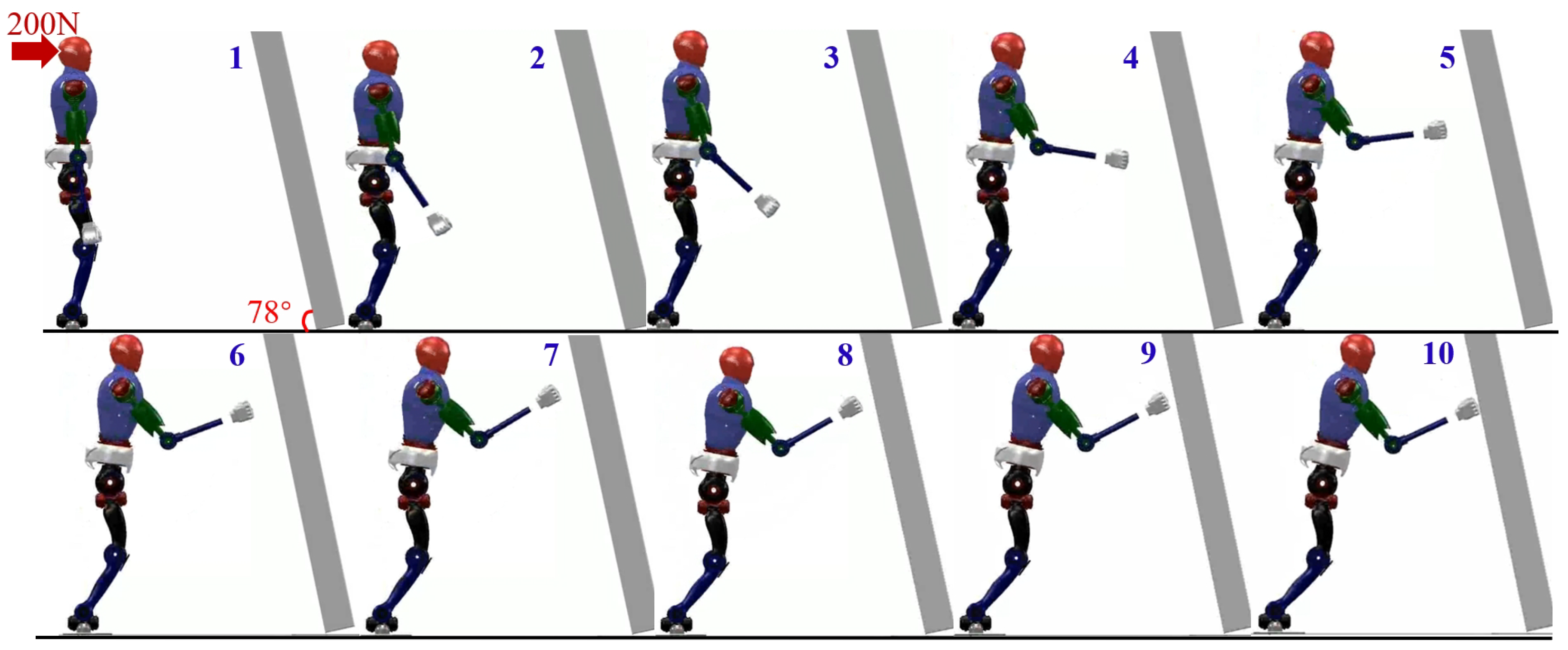 Biomimetics 09 00245 g013