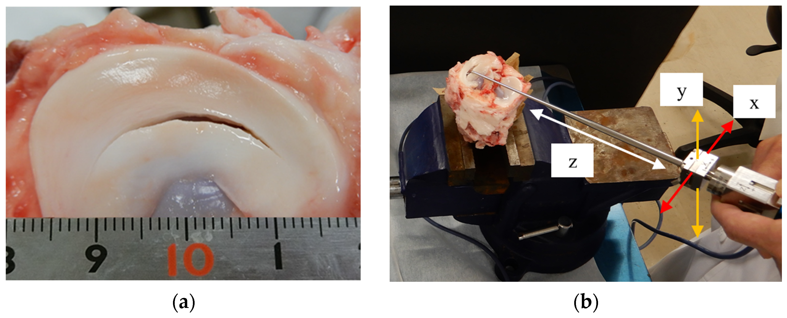 Biomimetics 09 00246 g003