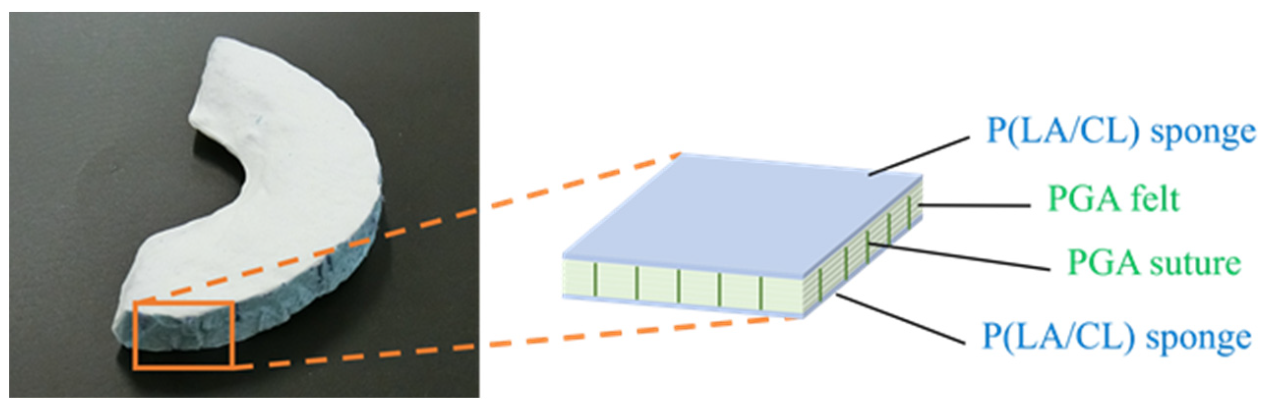 Biomimetics 09 00246 g005