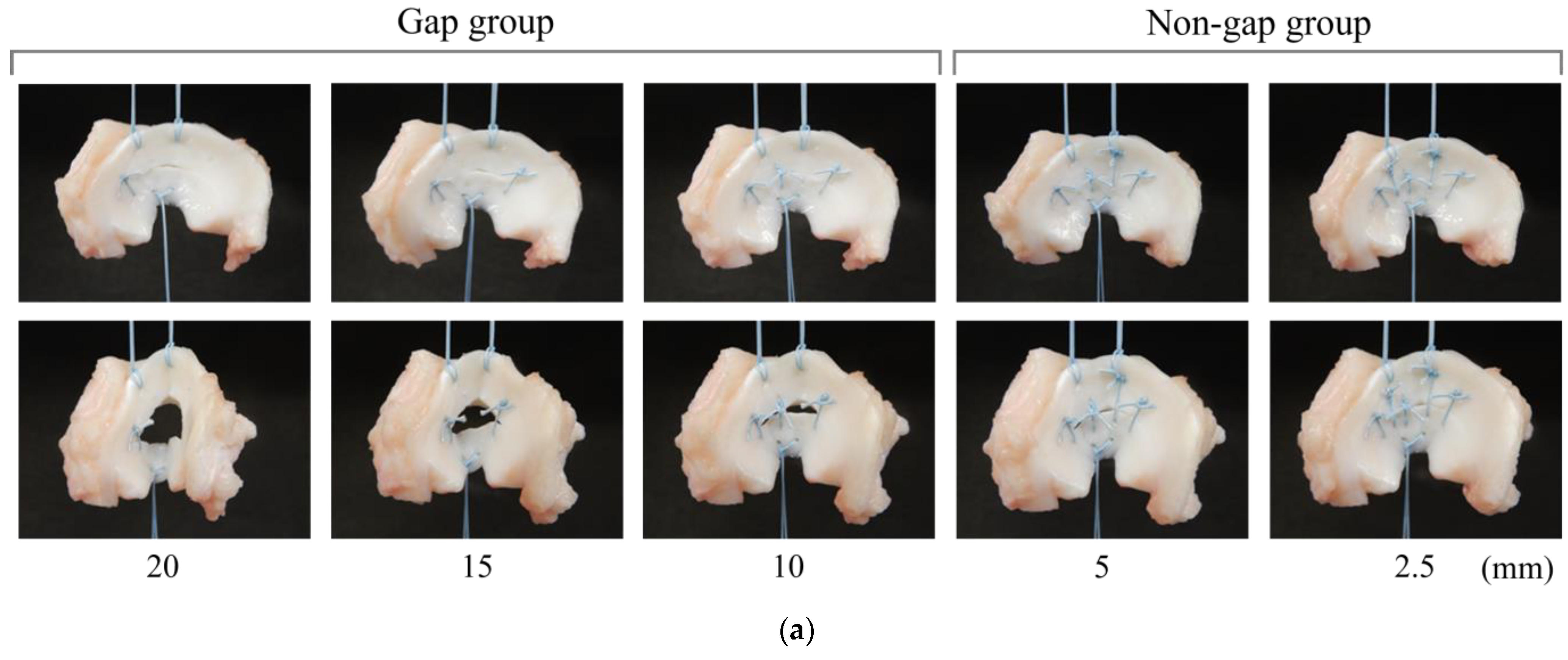 Biomimetics 09 00246 g008a