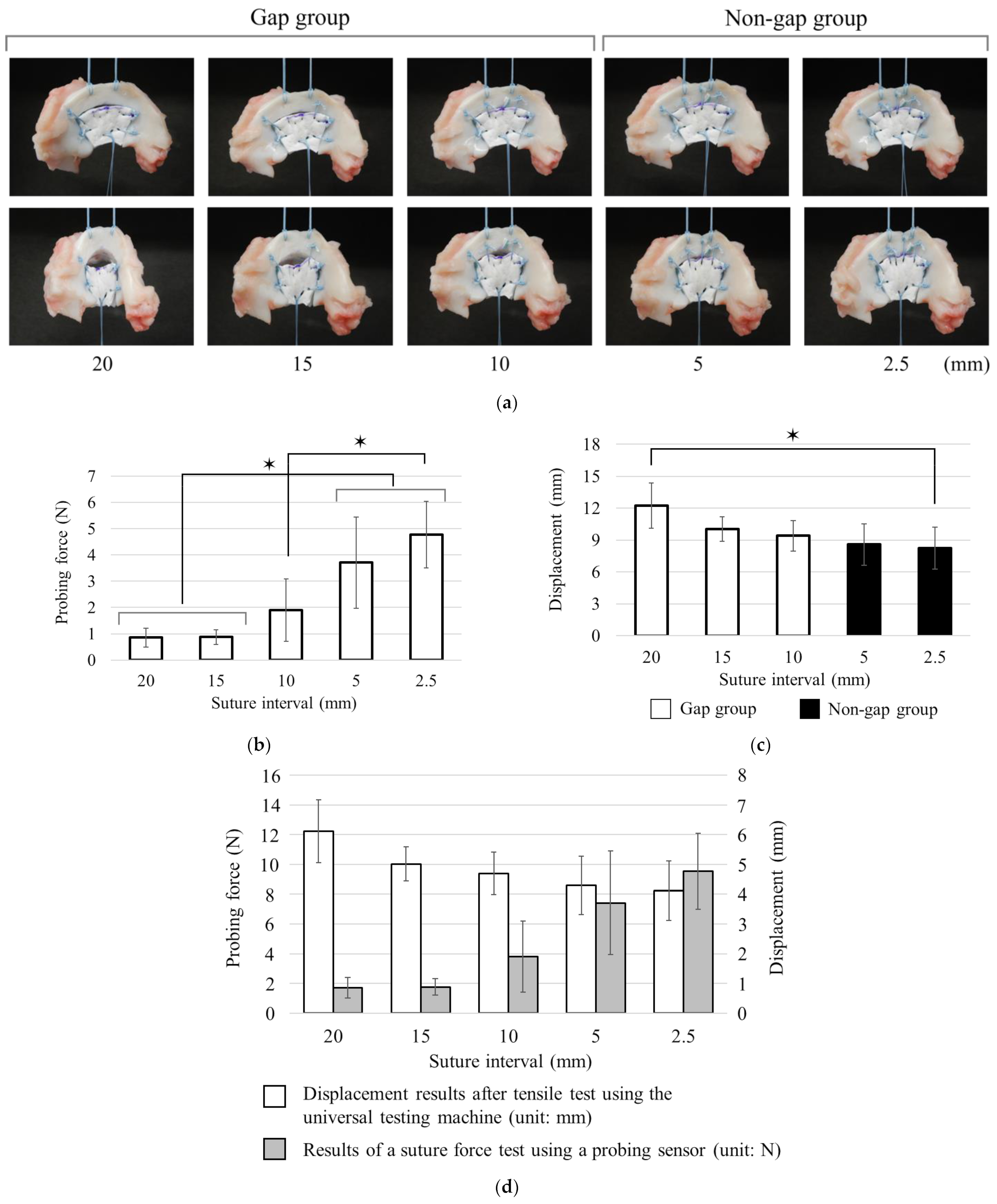 Biomimetics 09 00246 g009
