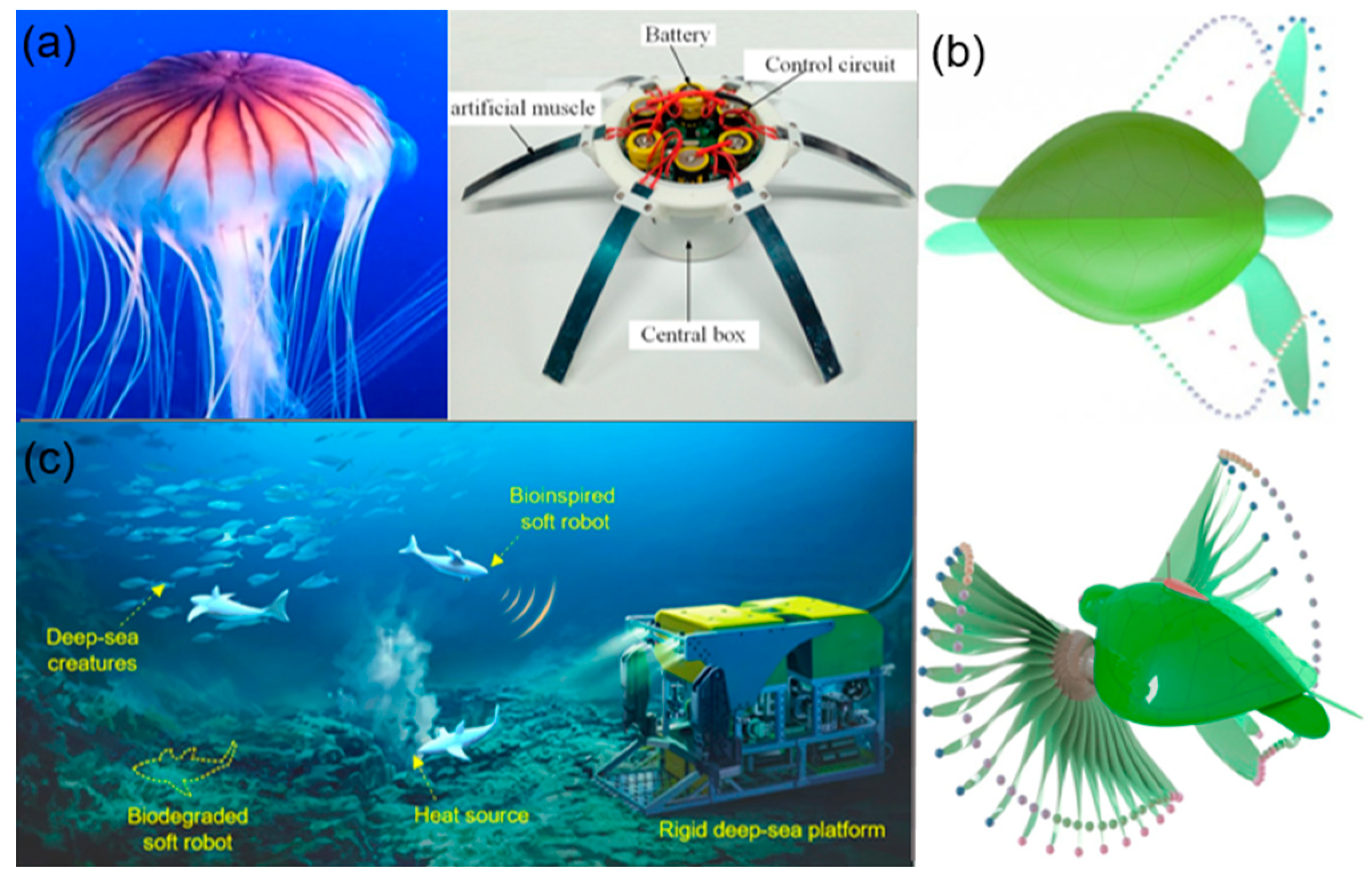 Biomimetics 09 00248 g004