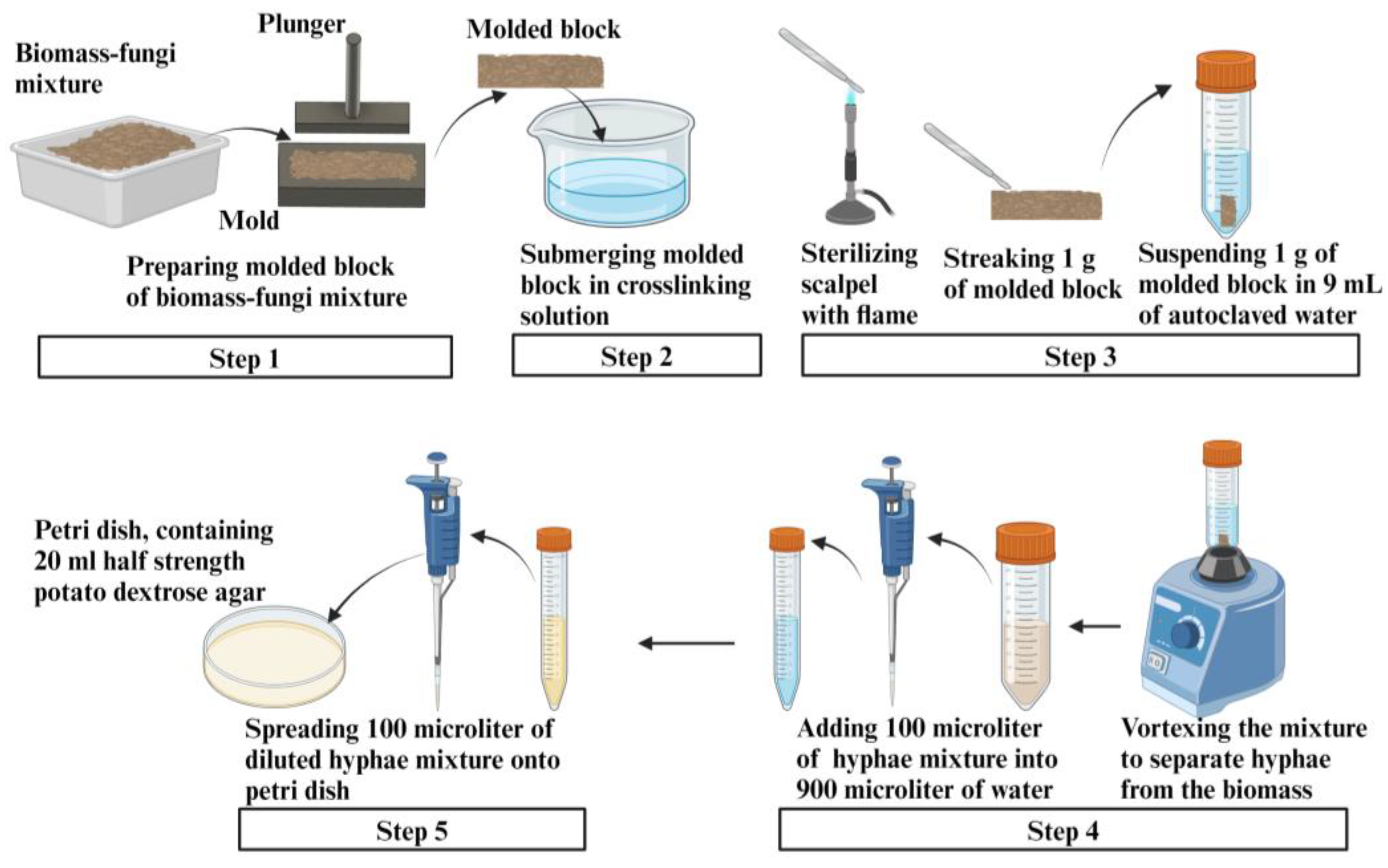Biomimetics 09 00251 g008 Biomimetics 09 00251 g008