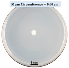 Biomimetics 09 00251 i001 Biomimetics 09 00251 i001