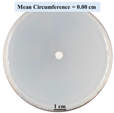 Biomimetics 09 00251 i004 Biomimetics 09 00251 i004