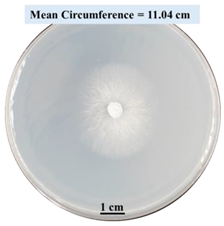 Biomimetics 09 00251 i005 Biomimetics 09 00251 i005