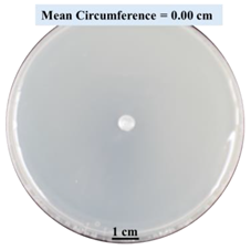 Biomimetics 09 00251 i007 Biomimetics 09 00251 i007