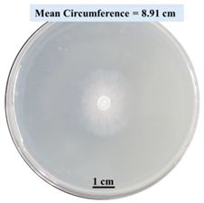 Biomimetics 09 00251 i008 Biomimetics 09 00251 i008