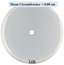 Biomimetics 09 00251 i010 Biomimetics 09 00251 i010