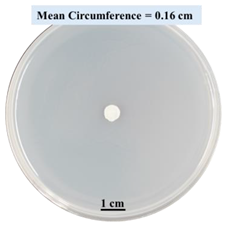 Biomimetics 09 00251 i011 Biomimetics 09 00251 i011