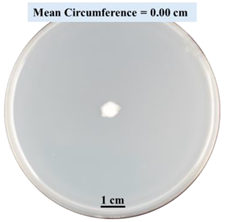 Biomimetics 09 00251 i013 Biomimetics 09 00251 i013