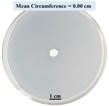 Biomimetics 09 00251 i014 Biomimetics 09 00251 i014