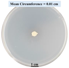 Biomimetics 09 00251 i015 Biomimetics 09 00251 i015