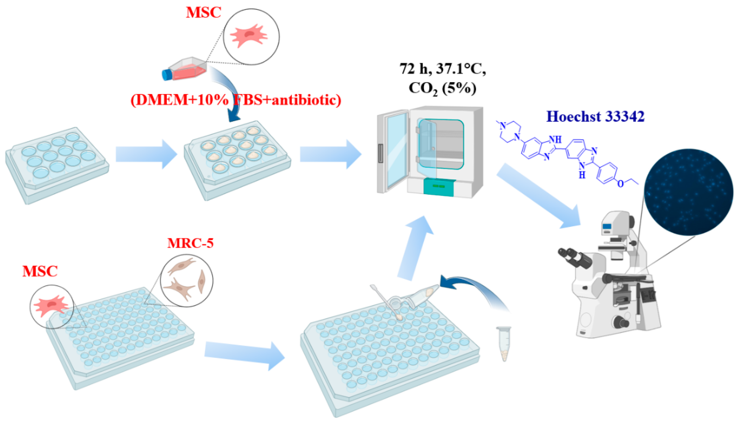 Biomimetics 09 00252 g001 Biomimetics 09 00252 g001