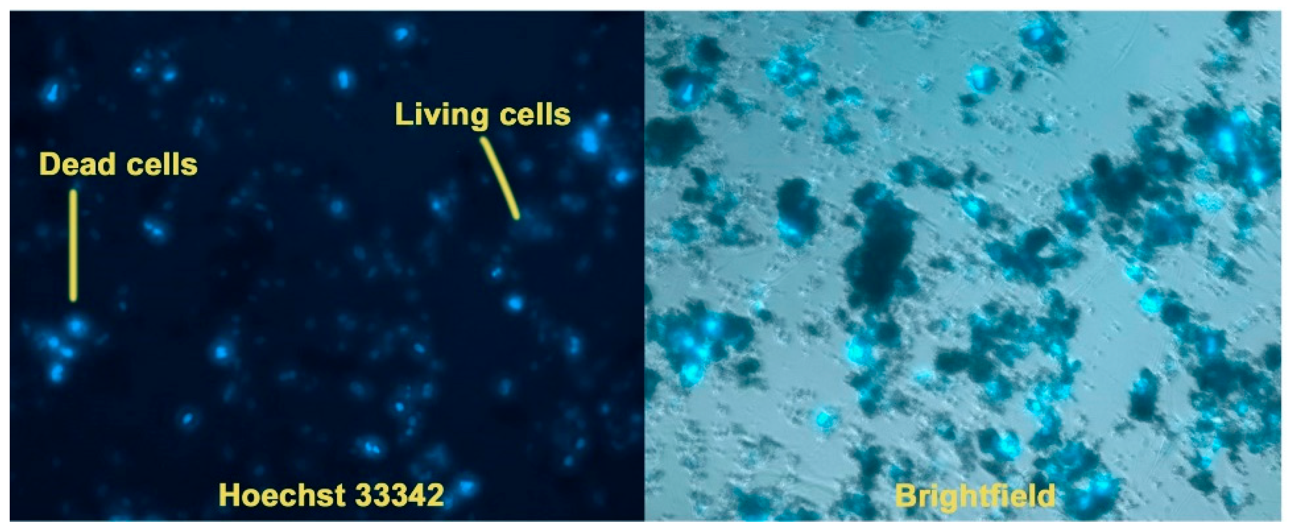 Biomimetics 09 00252 g008 Biomimetics 09 00252 g008