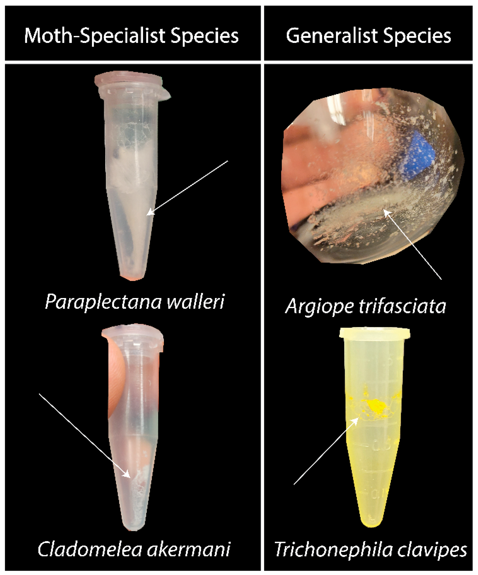 Biomimetics 09 00256 g001