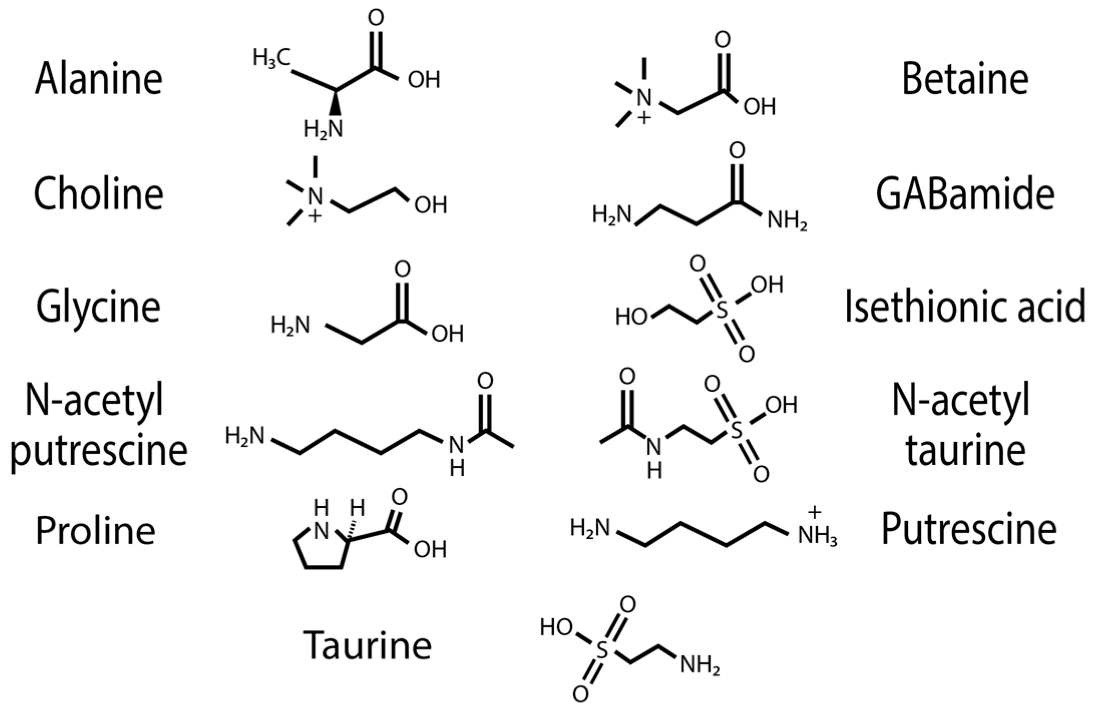 Biomimetics 09 00256 g008