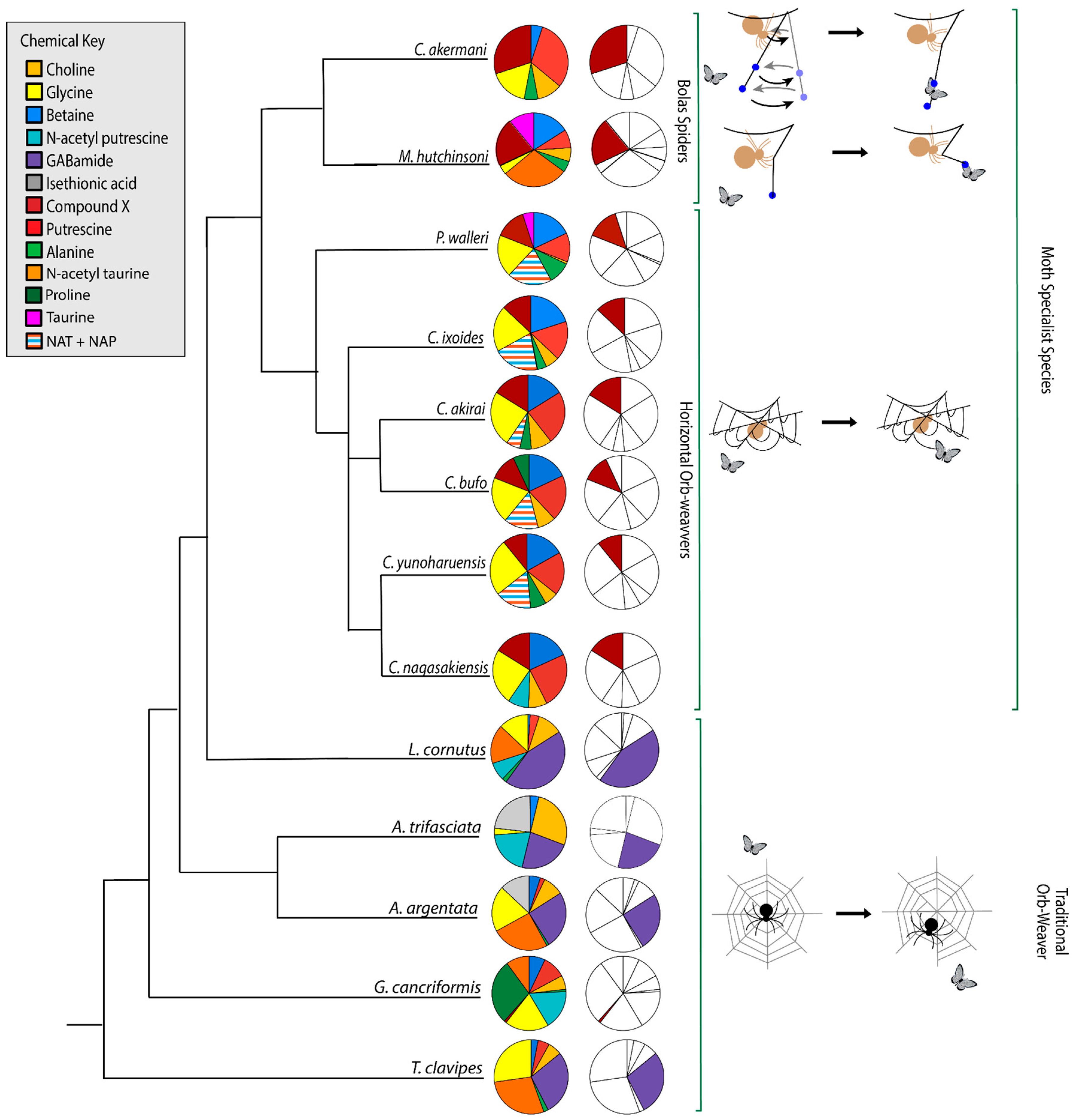 Biomimetics 09 00256 g009