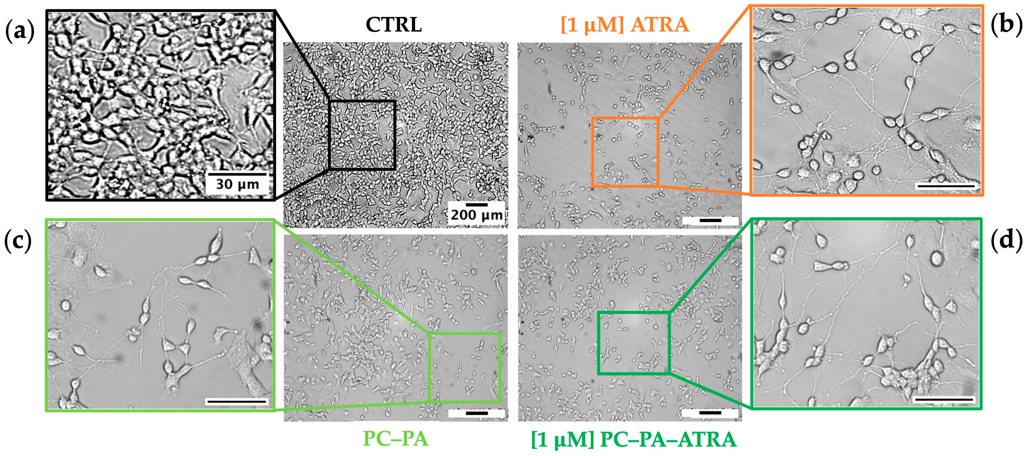 Biomimetics 09 00257 g002