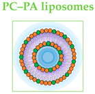 Biomimetics 09 00257 i002