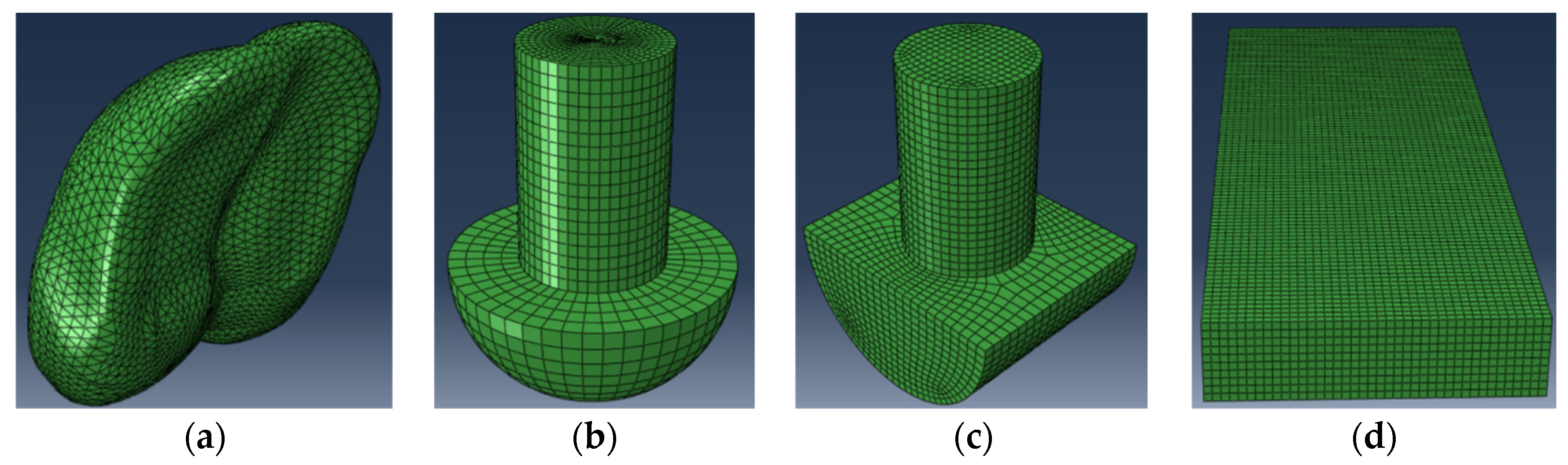 Biomimetics 09 00260 g003