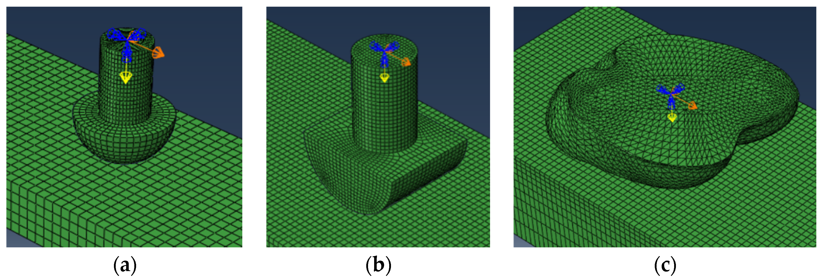 Biomimetics 09 00260 g005