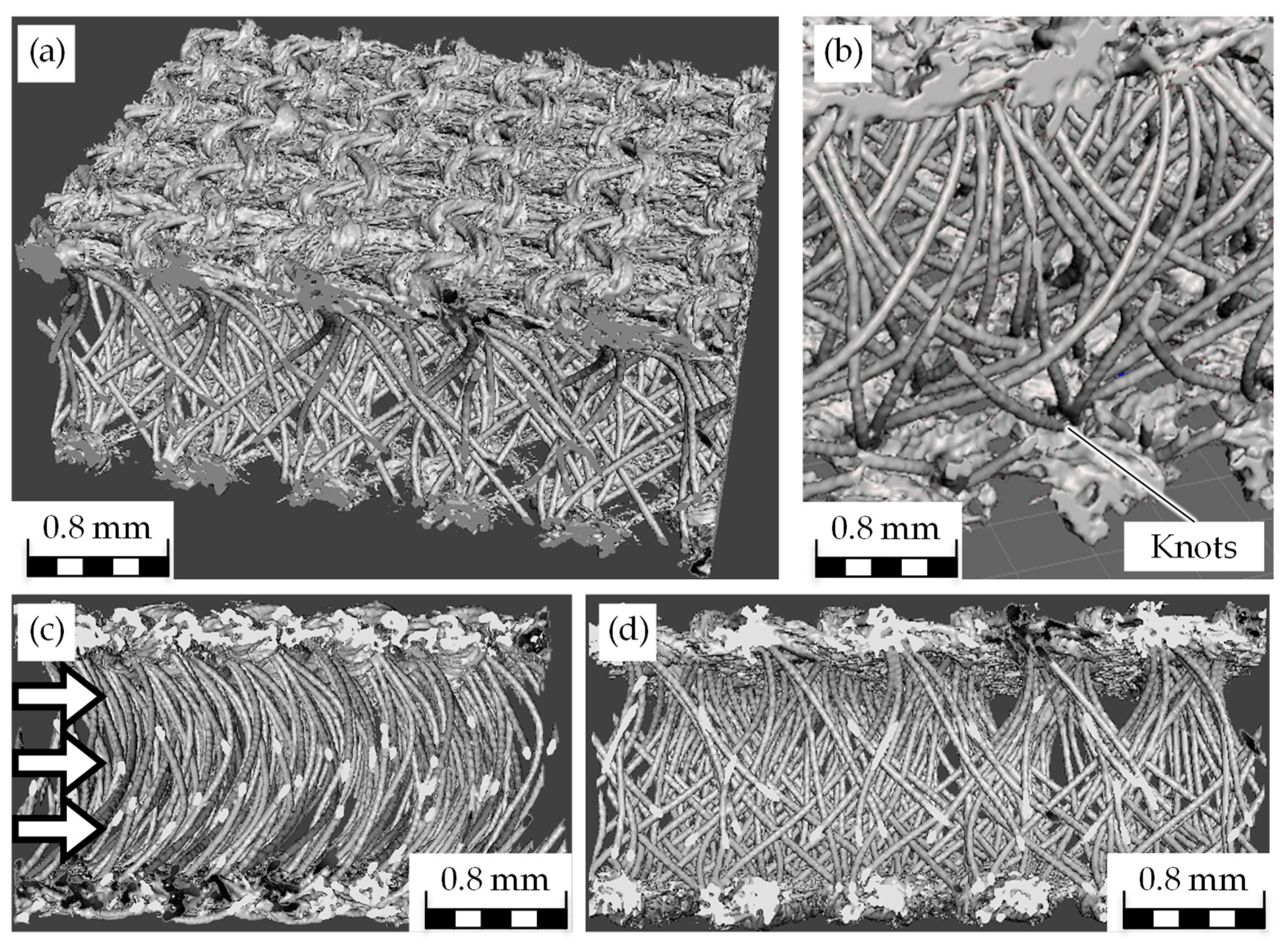 Biomimetics 09 00261 g003