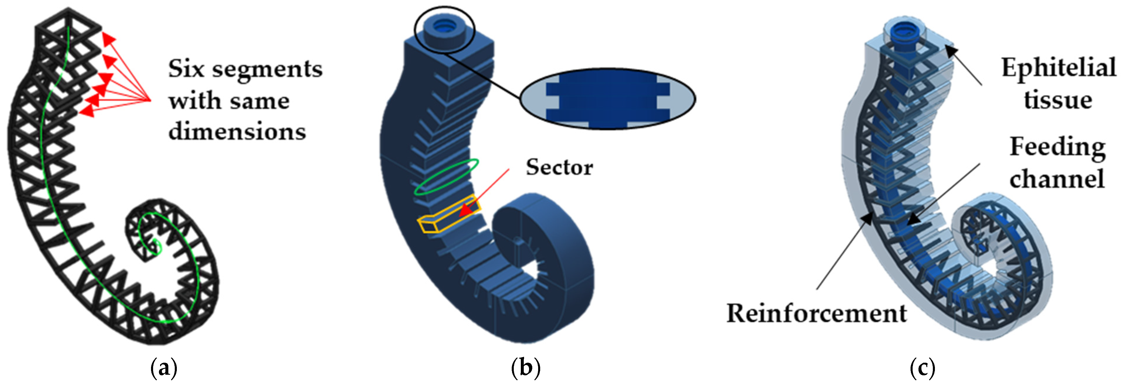 Biomimetics 09 00264 g005