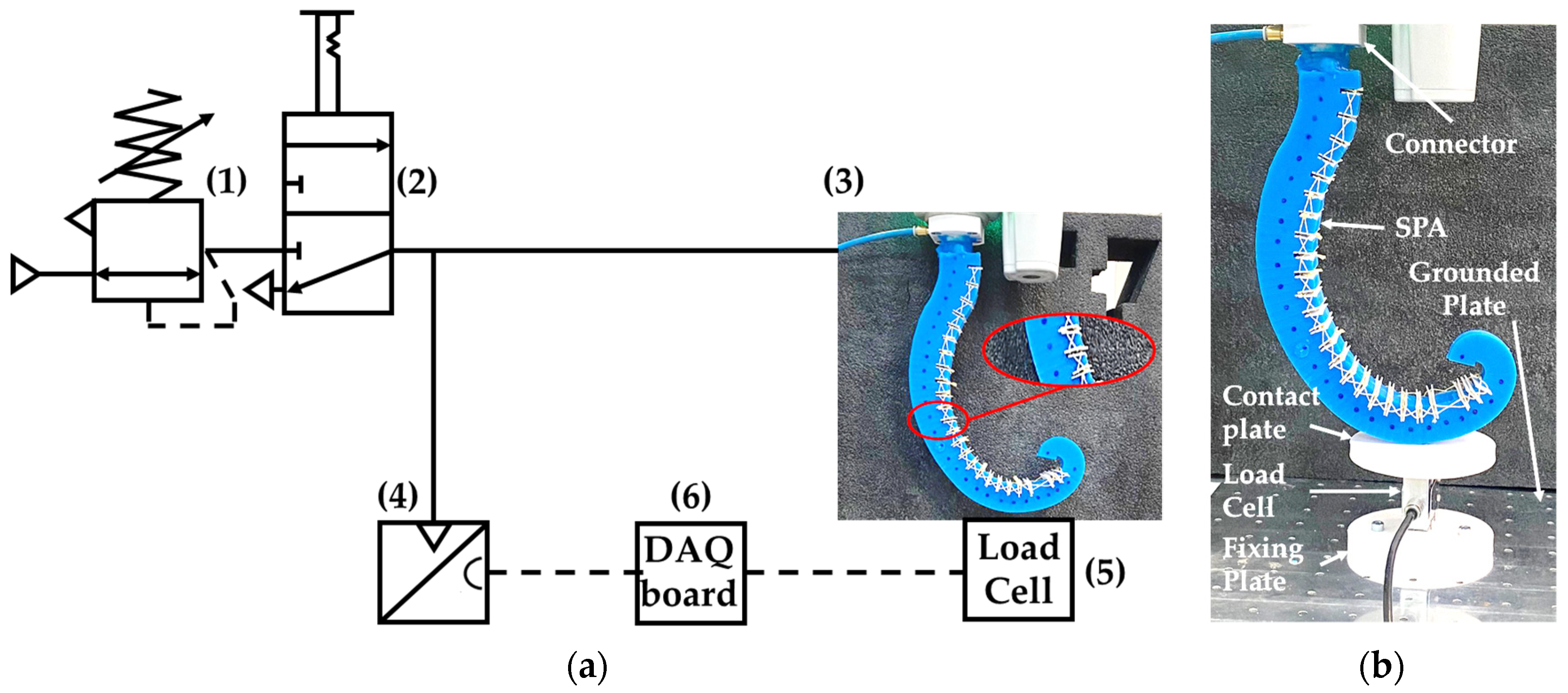 Biomimetics 09 00264 g010