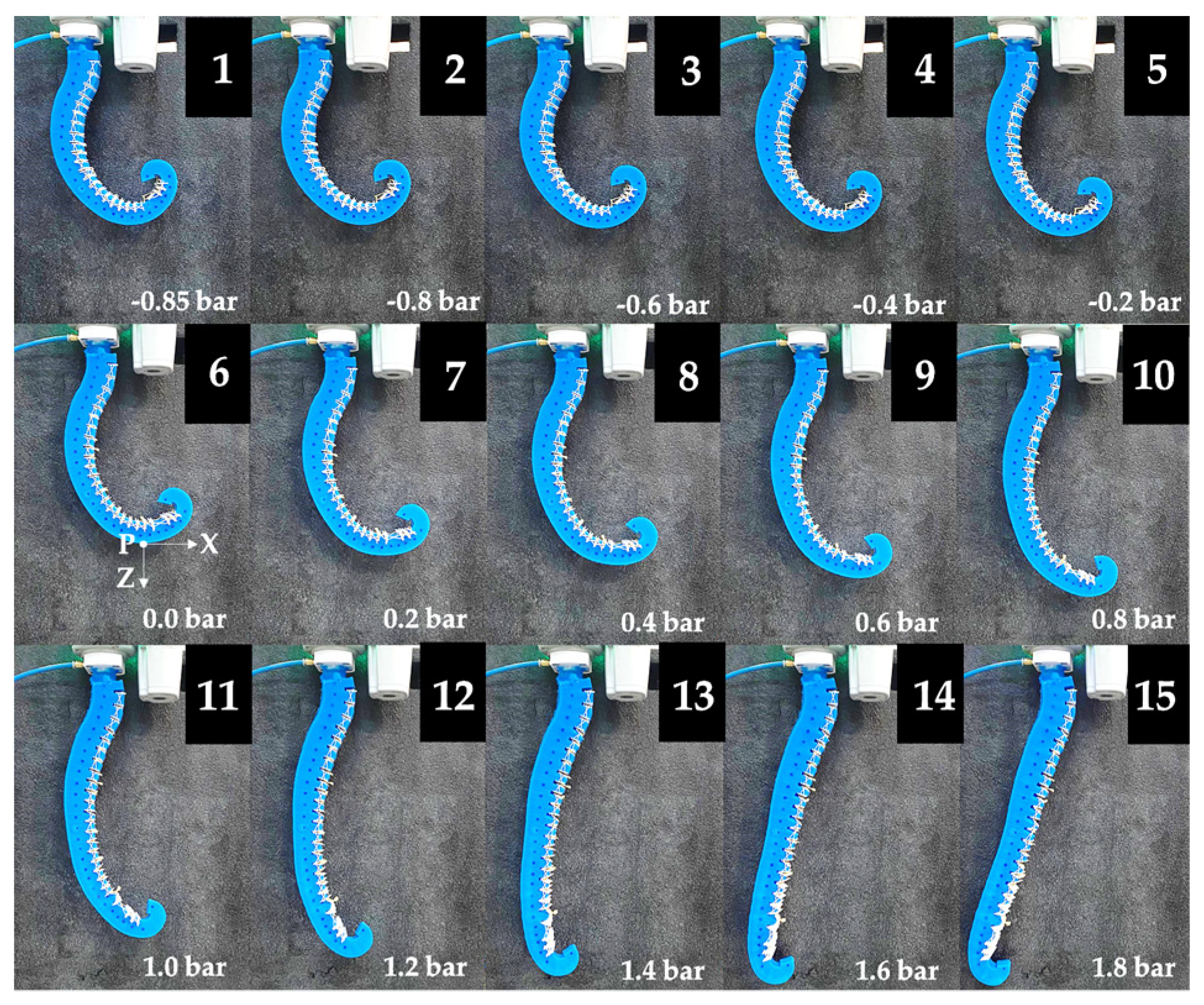 Biomimetics 09 00264 g011