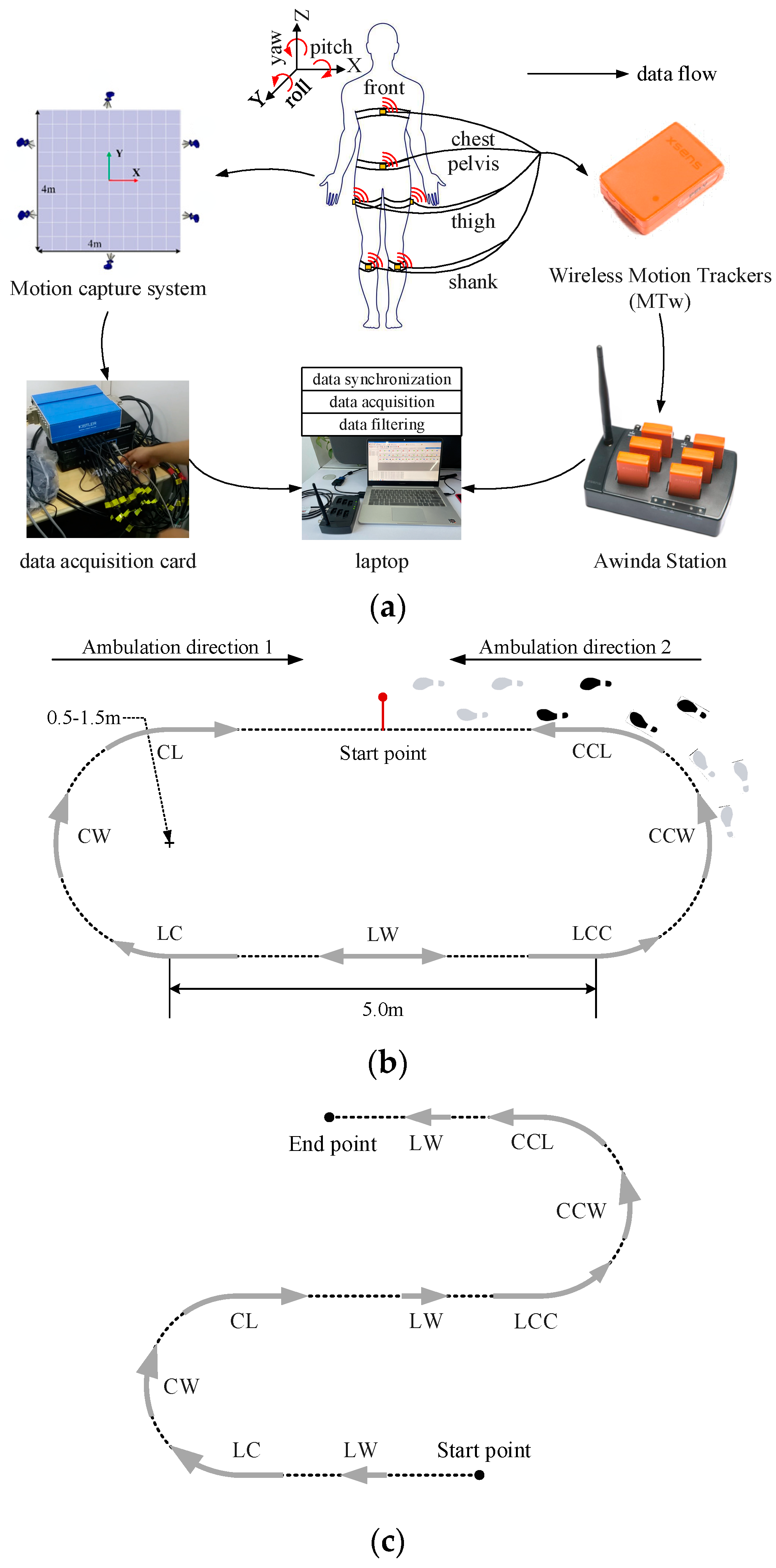 Biomimetics 09 00266 g001