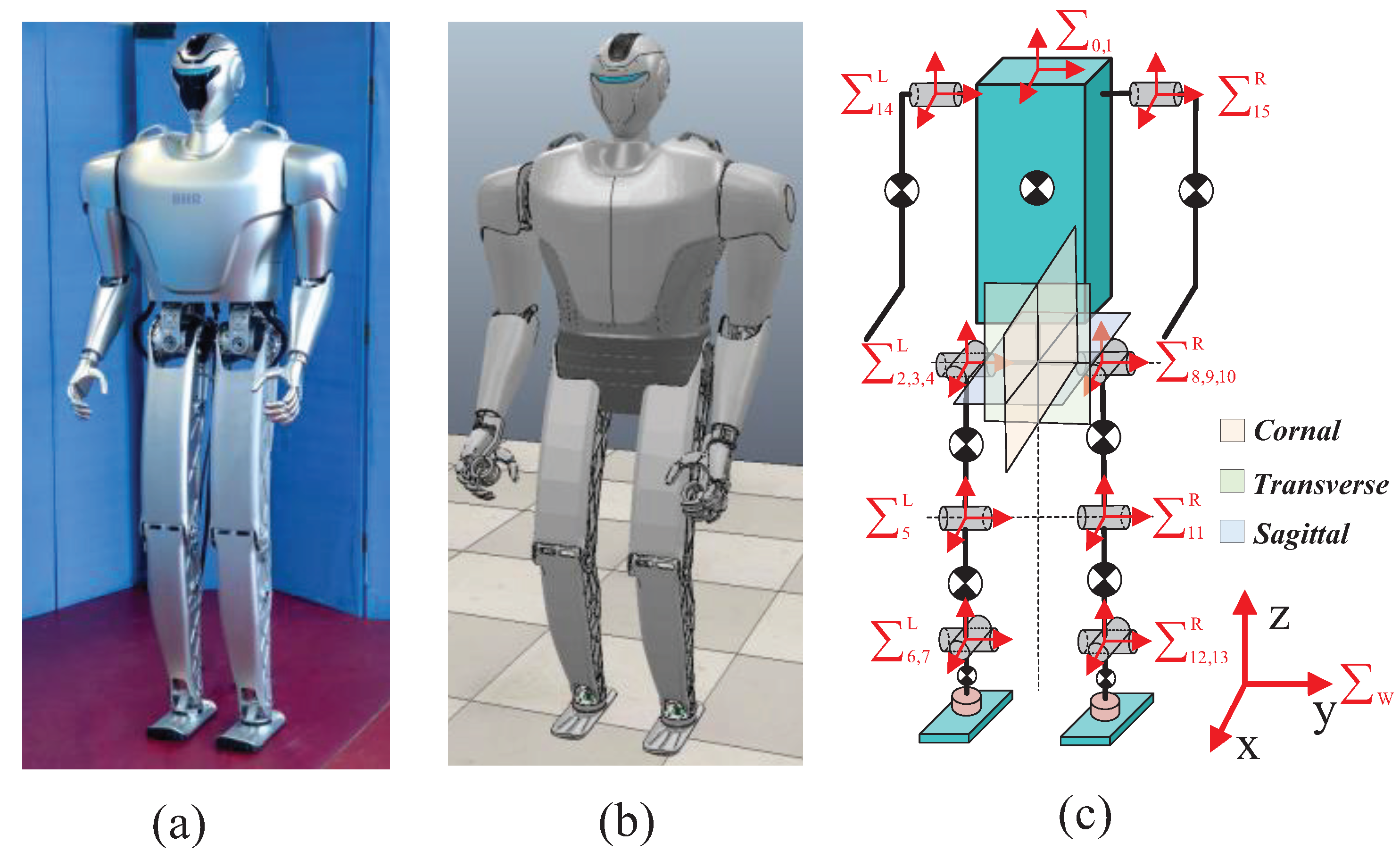 Biomimetics 09 00274 g002