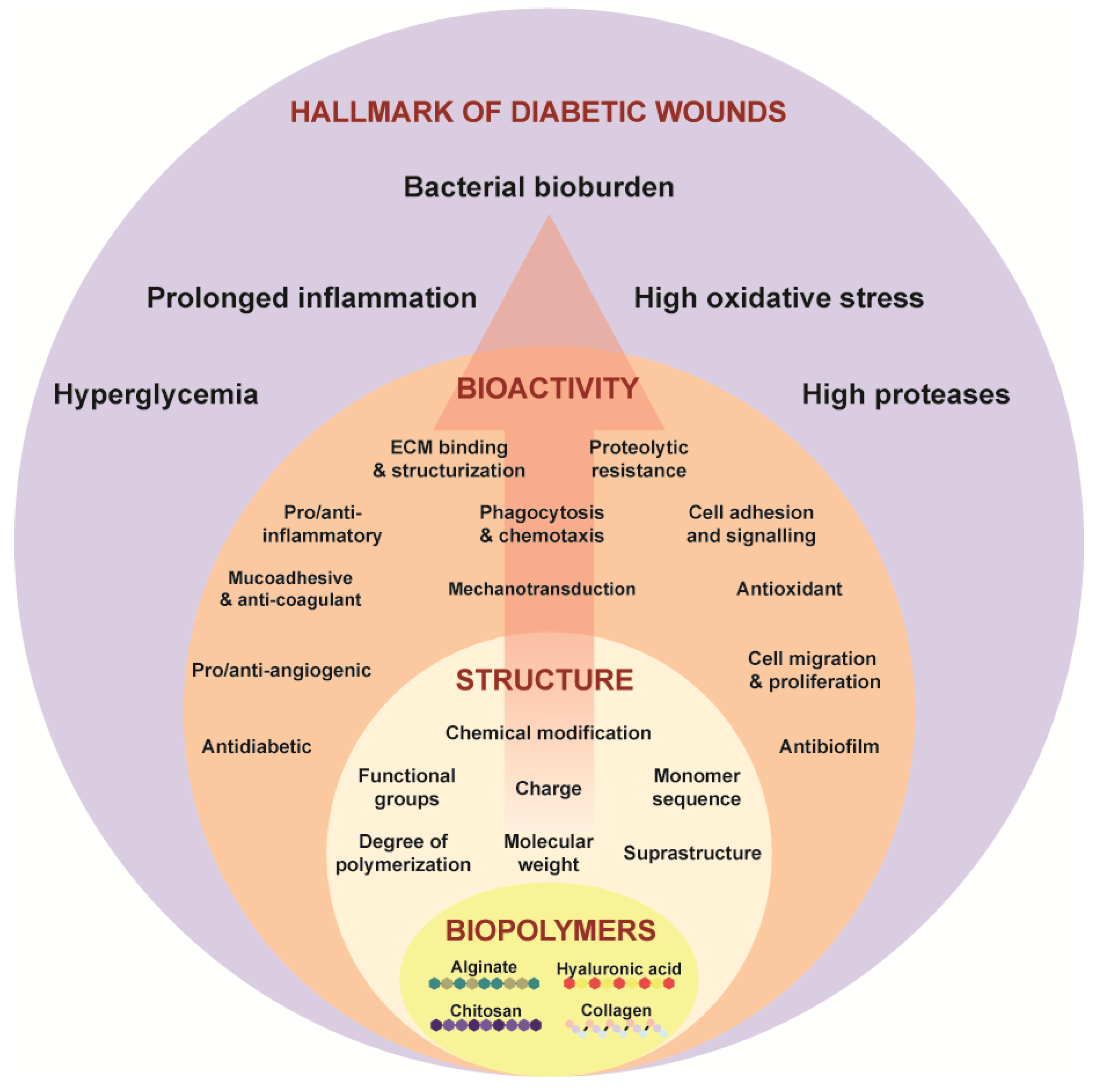 Biomimetics 09 00275 g001 Biomimetics 09 00275 g001