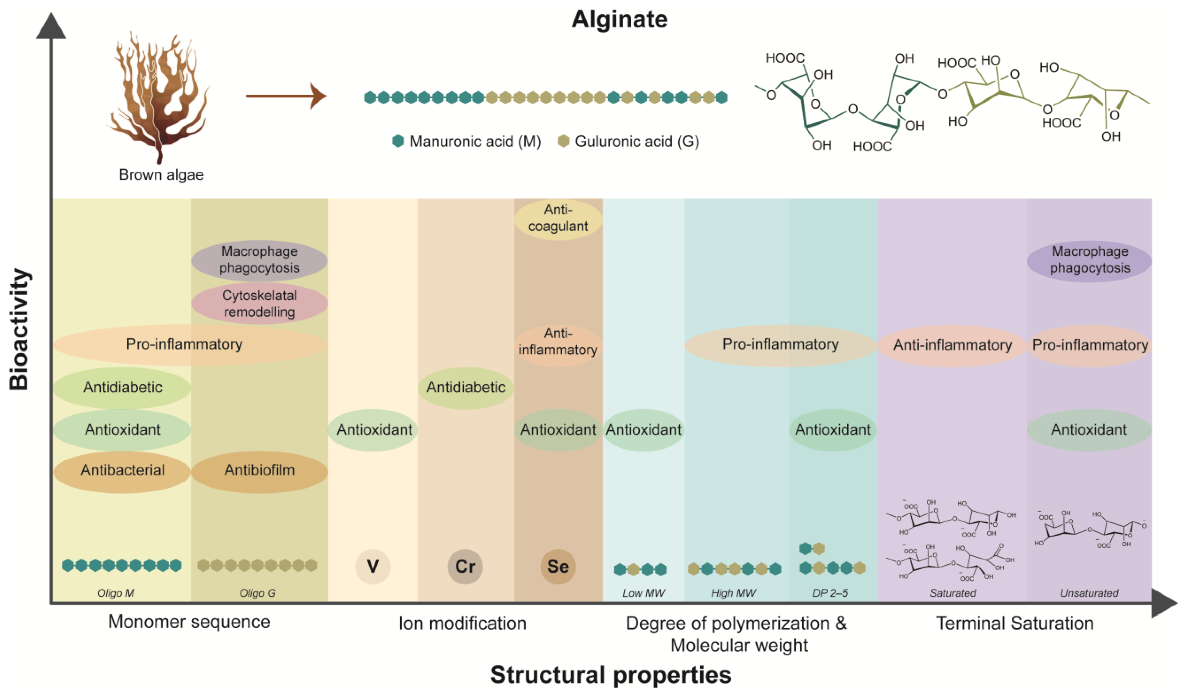 Biomimetics 09 00275 g002 Biomimetics 09 00275 g002