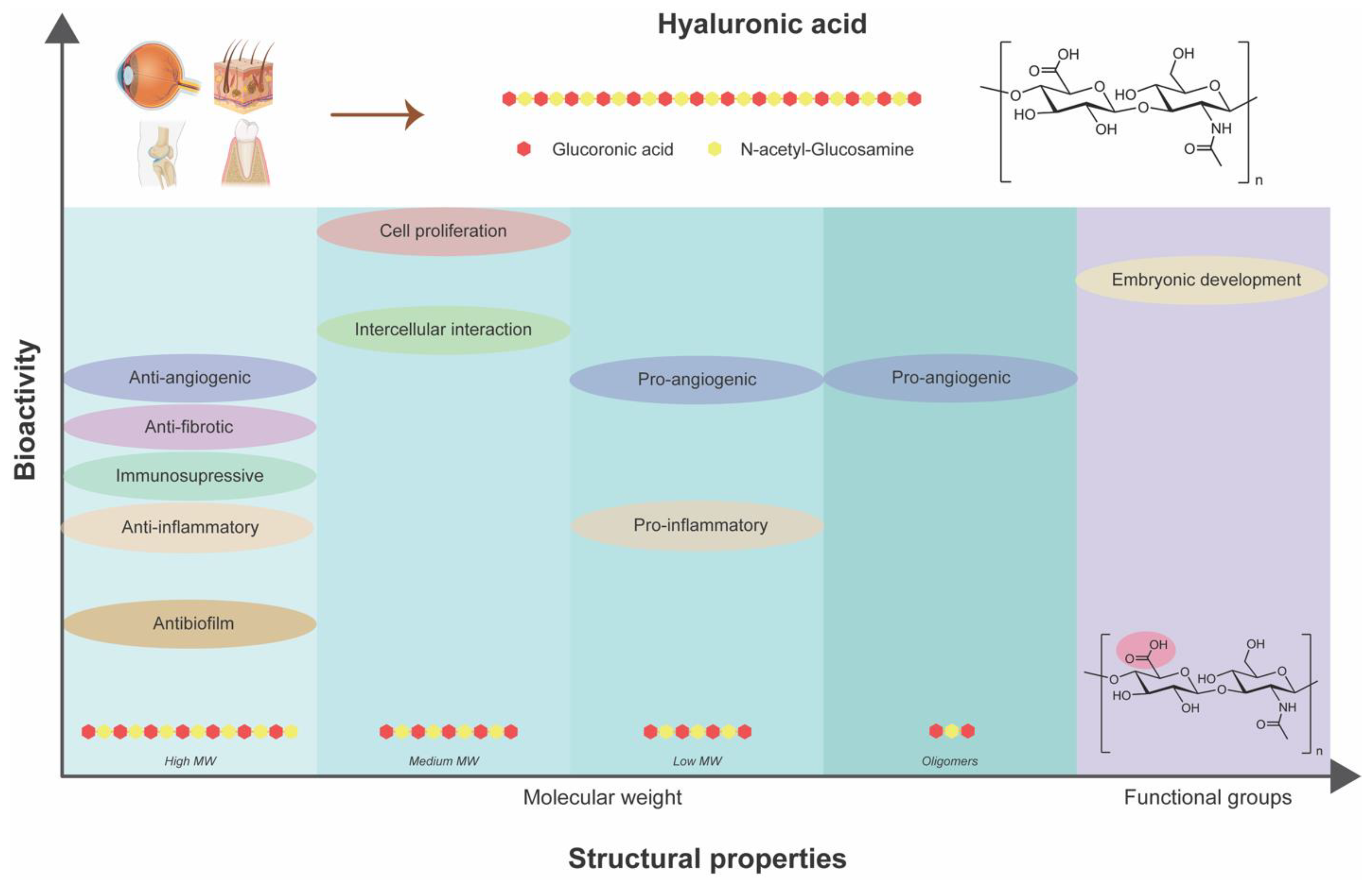 Biomimetics 09 00275 g004 Biomimetics 09 00275 g004