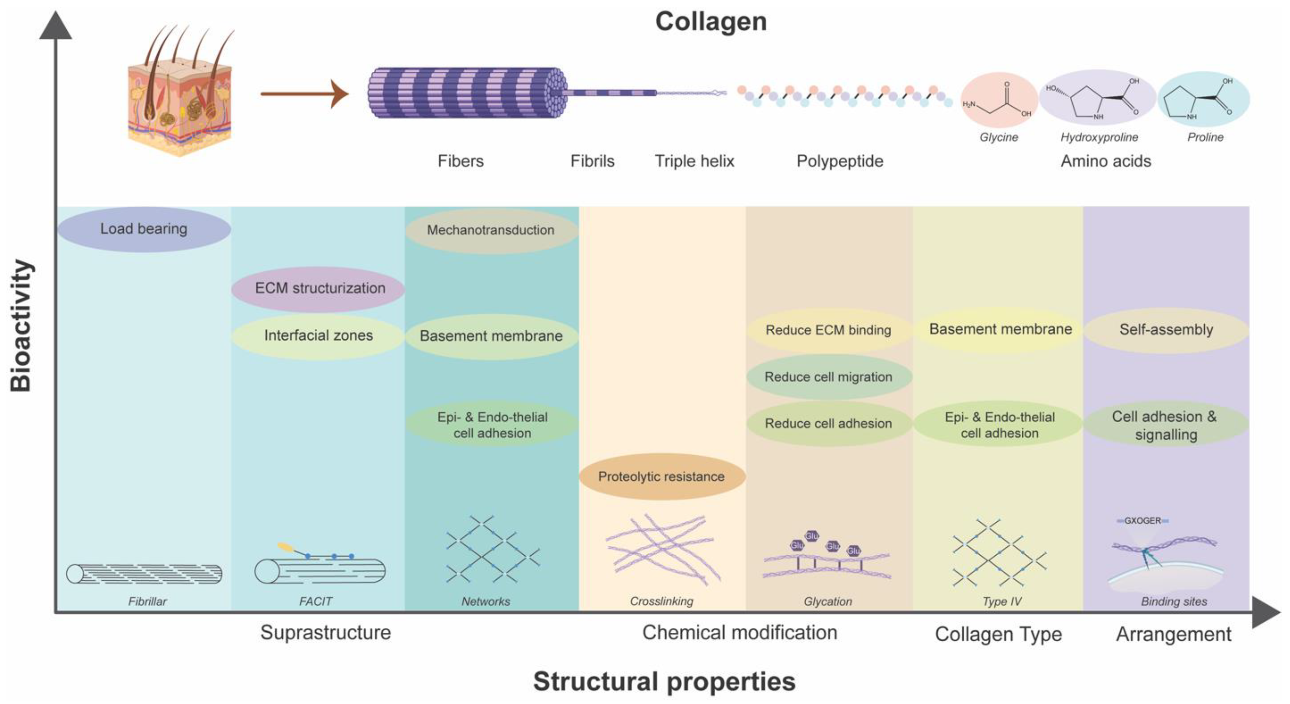 Biomimetics 09 00275 g005 Biomimetics 09 00275 g005
