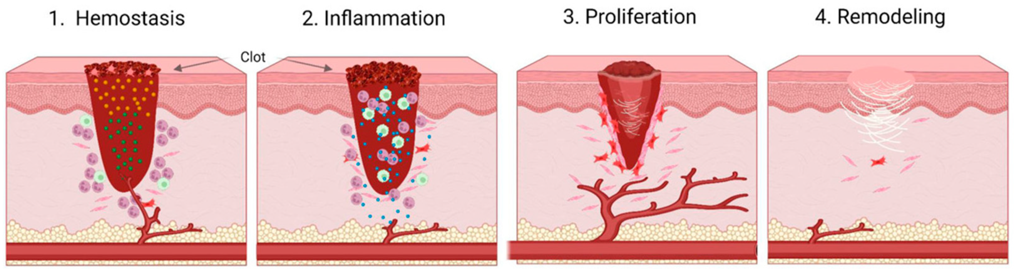 Biomimetic Materials for Skin Tissue Regeneration and Electronic Skin