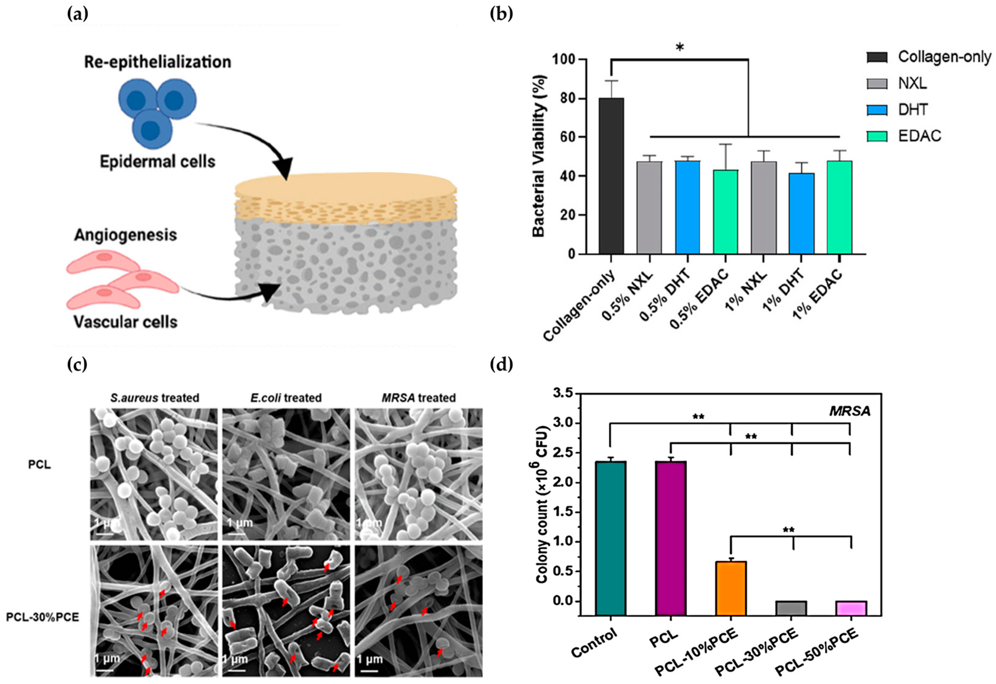 Biomimetics 09 00278 g004