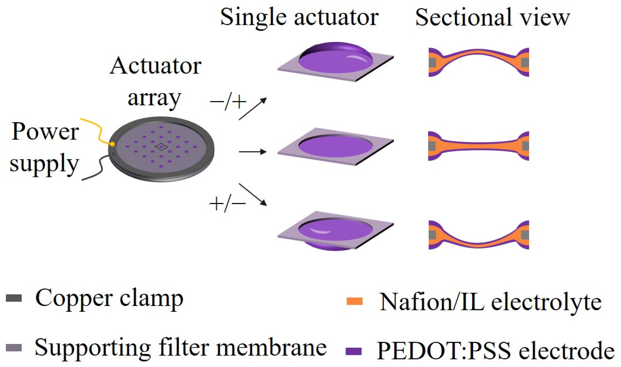 Biomimetics 09 00281 g001