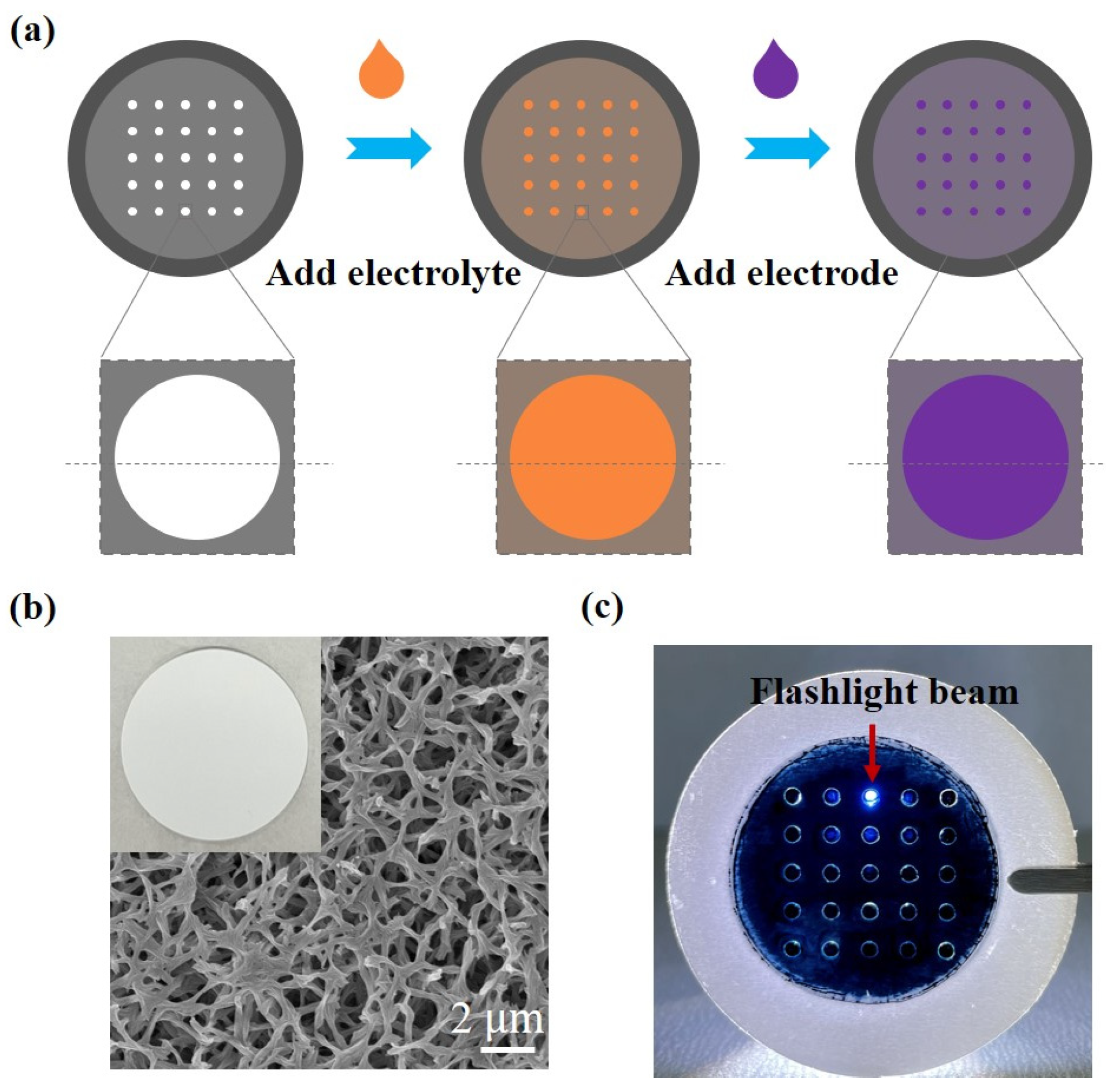 Biomimetics 09 00281 g002