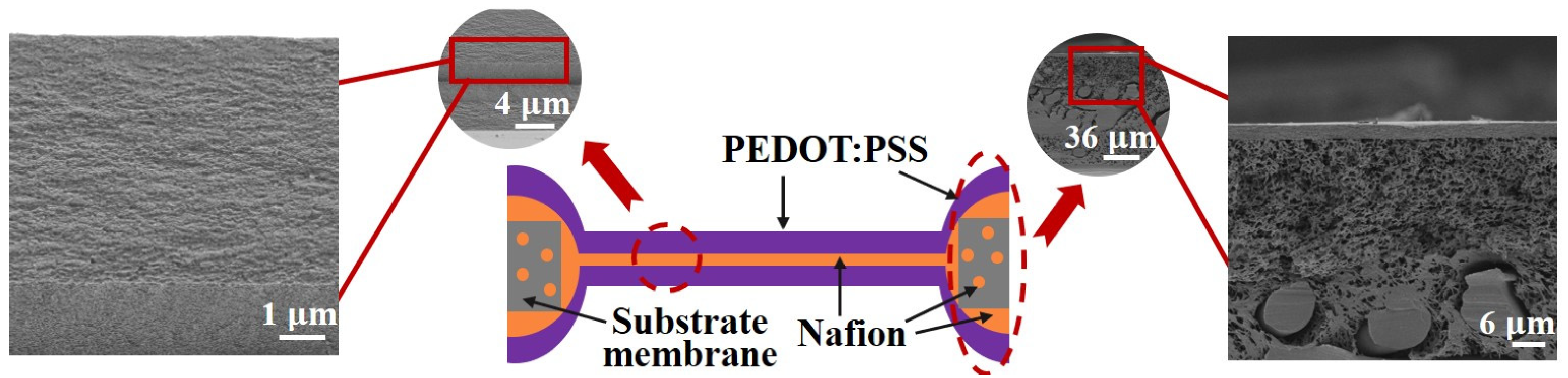 Biomimetics 09 00281 g005