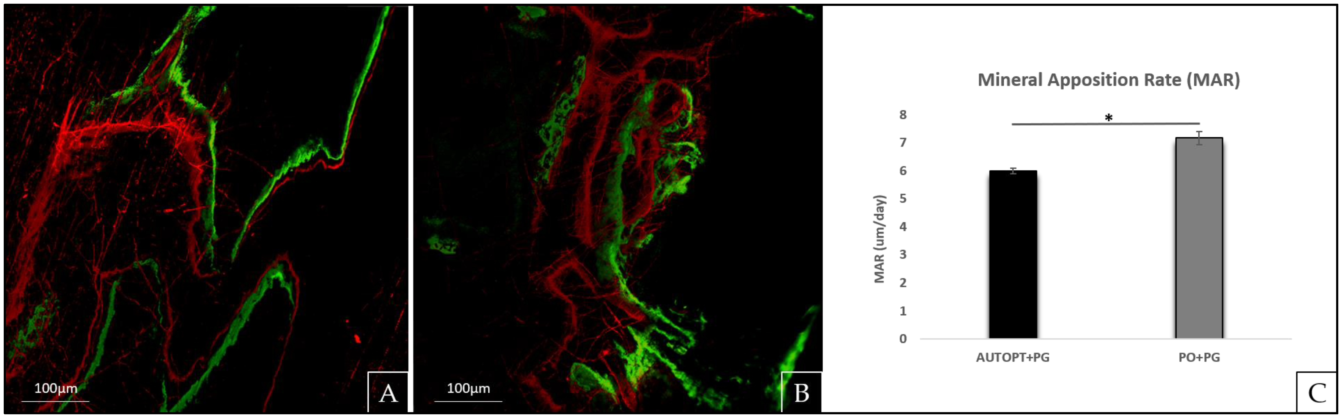 Biomimetics 09 00284 g004 Biomimetics 09 00284 g004