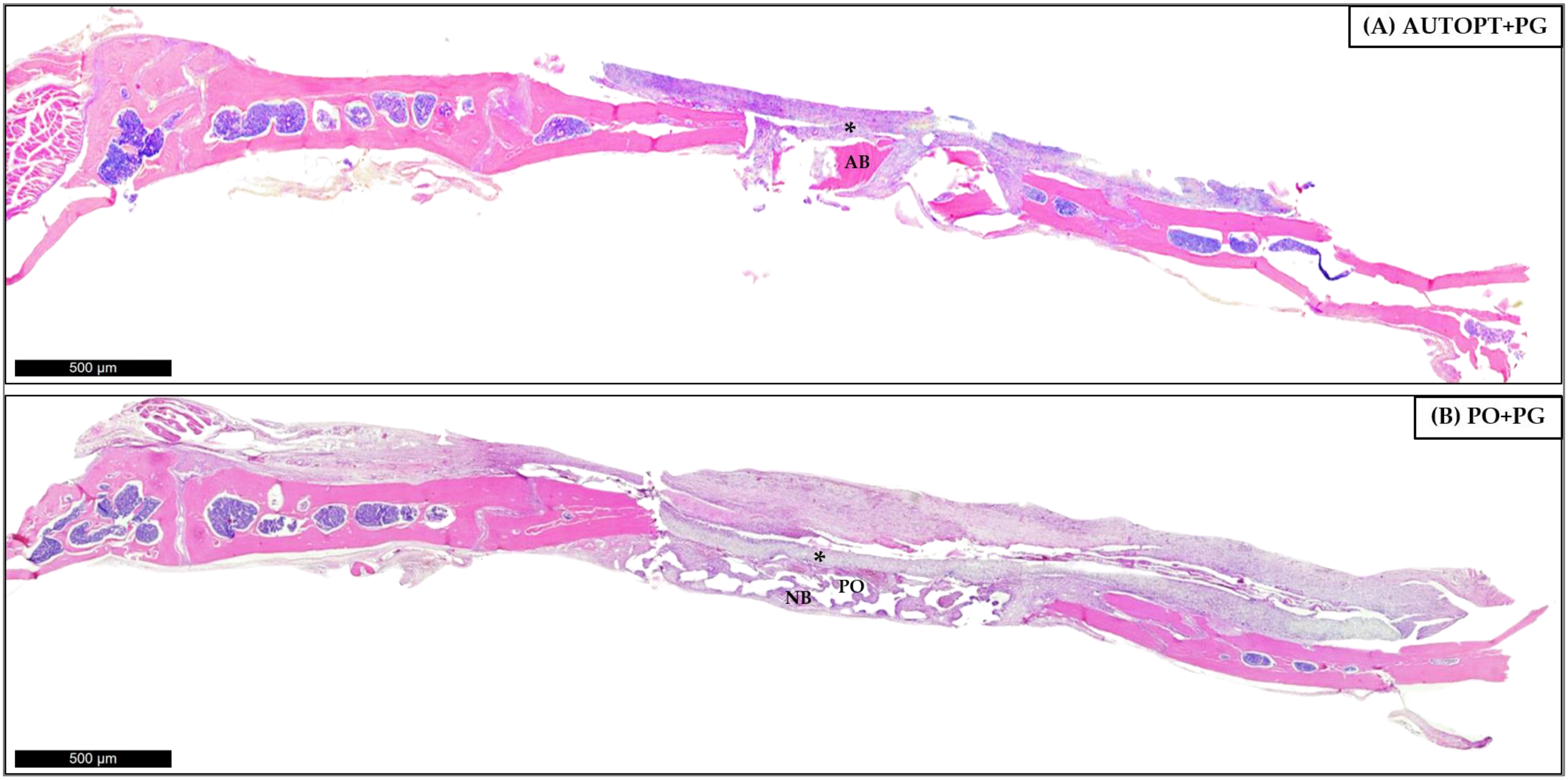 Biomimetics 09 00284 g006 Biomimetics 09 00284 g006